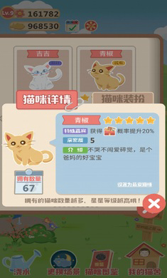 奇妙猫之家